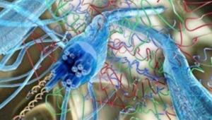 יום פתוח בחוג לחומר מעובה