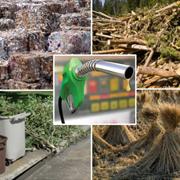 פסולת צמחית - להפוך אשפה למשאב. הפקת אתנול ממקורות פסולת צמחיים לשימוש כביו-דלק
